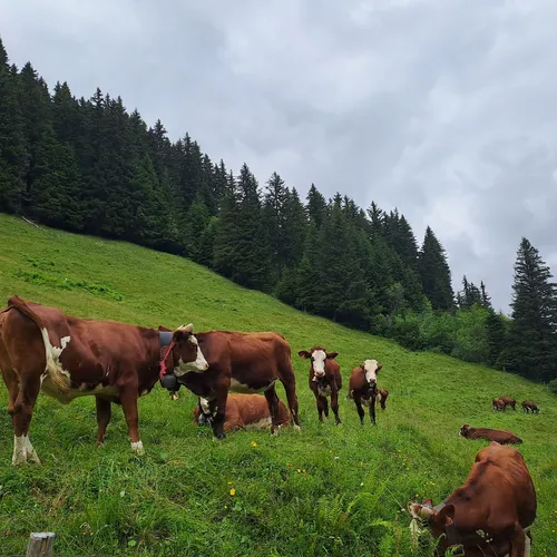 Alpine trail between Les Contamines and Les Chapieux