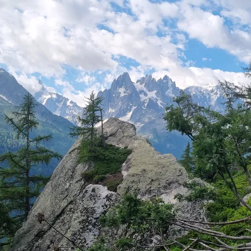 Mont Blanc and the Aiguille Verte from the Col de la Balme