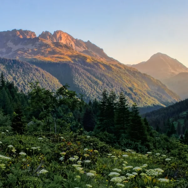 Sentier de la Réserve Naturelle des Aiguilles Rouges avec vue sur le massif du Mont Blanc depuis le Col des Montets