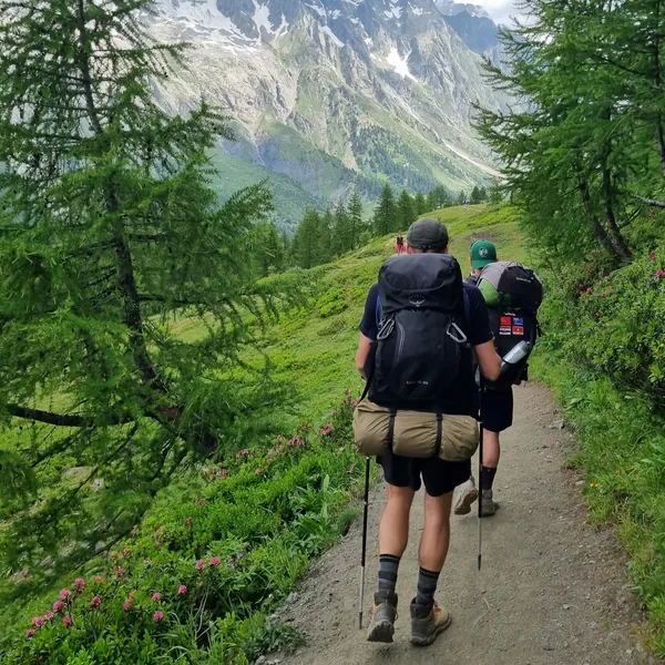 Deux randonneurs vus de dos, sac chargé et bâtons, sur un sentier du Tour du Mont-Blanc bordé de mélèzes