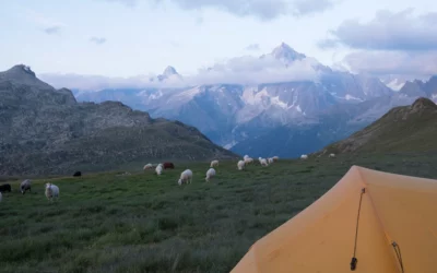 Camping on the Tour du Mont Blanc: Regulations in France, Italy, and Switzerland